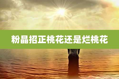 粉晶招正桃花还是烂桃花