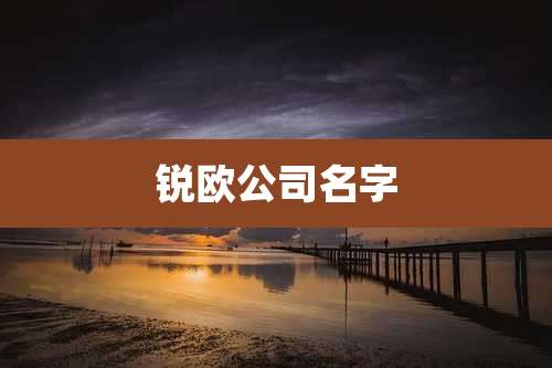 锐欧公司名字
