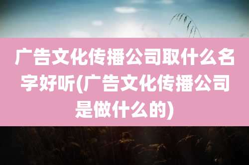 广告文化传播公司取什么名字好听(广告文化传播公司是做什么的)