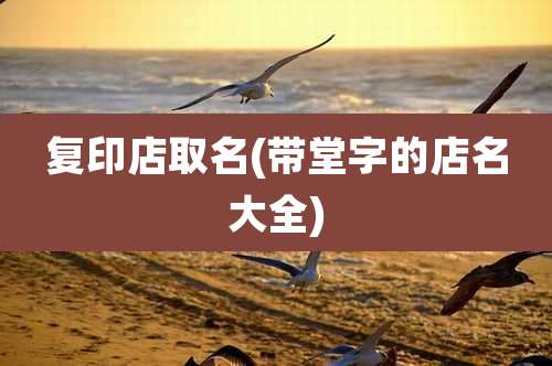 复印店取名(带堂字的店名大全)