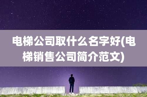 电梯公司取什么名字好(电梯销售公司简介范文)