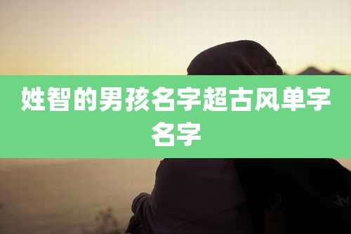 姓智的男孩名字超古风单字名字