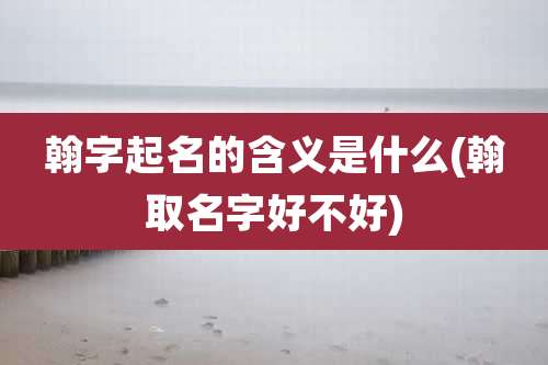 翰字起名的含义是什么(翰取名字好不好)