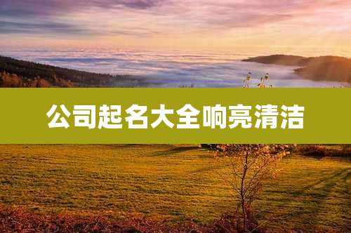 公司起名大全响亮清洁