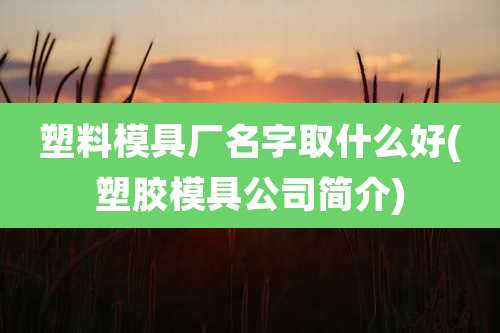 塑料模具厂名字取什么好(塑胶模具公司简介)