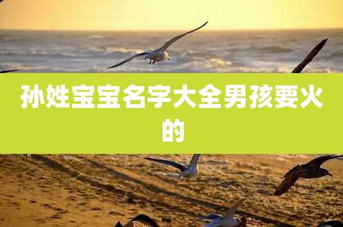 孙姓宝宝名字大全男孩要火的