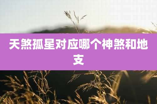 天煞孤星对应哪个神煞和地支