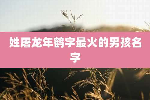 姓屠龙年鹤字最火的男孩名字