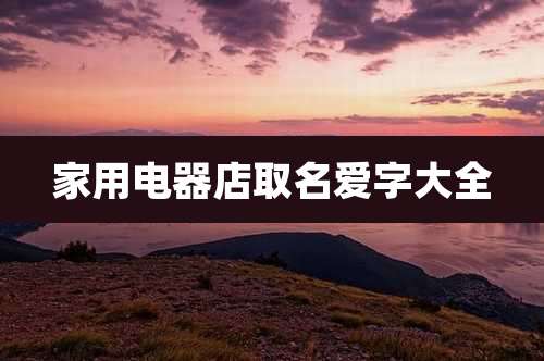 家用电器店取名爱字大全