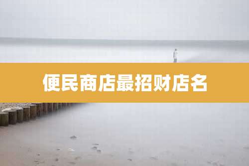 便民商店最招财店名