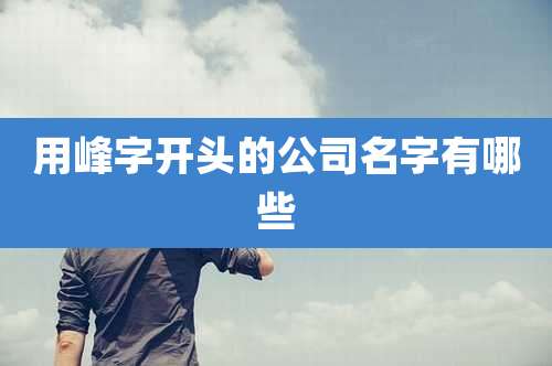 用峰字开头的公司名字有哪些