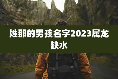 姓那的男孩名字2023属龙缺水