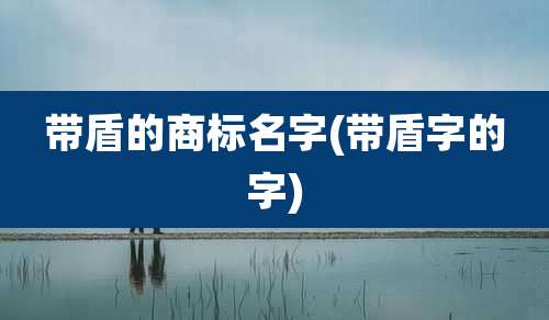 带盾的商标名字(带盾字的字)
