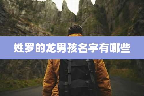 姓罗的龙男孩名字有哪些