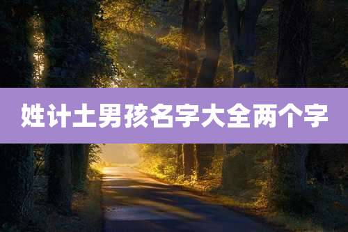 姓计土男孩名字大全两个字