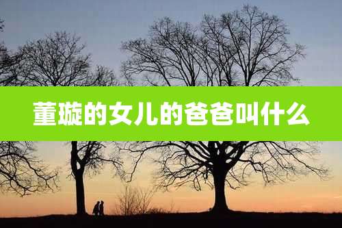 董璇的女儿的爸爸叫什么