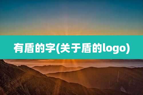 有盾的字(关于盾的logo)