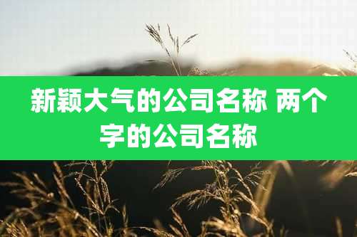 新颖大气的公司名称 两个字的公司名称