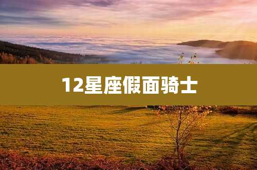 12星座假面骑士