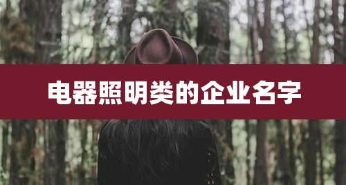 电器照明类的企业名字