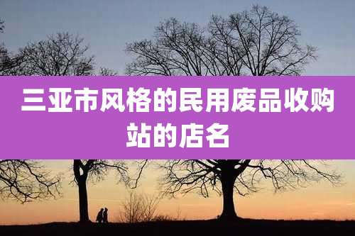 三亚市风格的民用废品收购站的店名