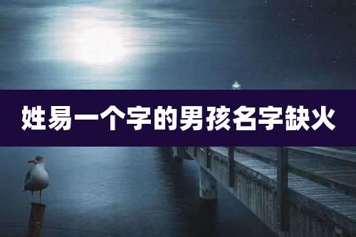 姓易一个字的男孩名字缺火