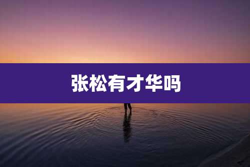 张松有才华吗