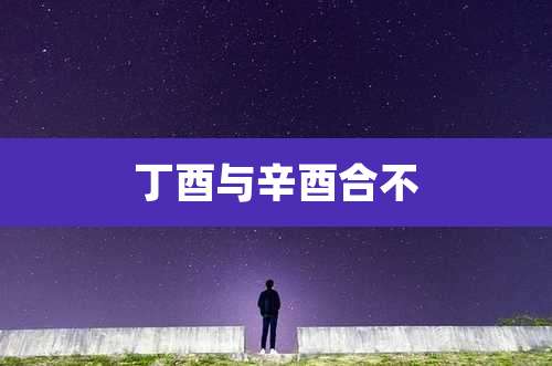 丁酉与辛酉合不