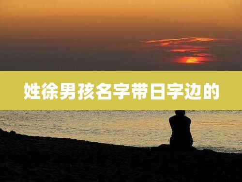 姓徐男孩名字带日字边的