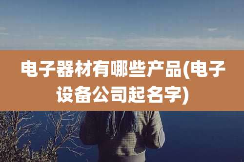 电子器材有哪些产品(电子设备公司起名字)
