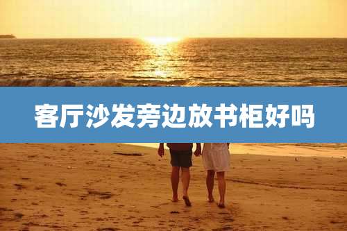 客厅沙发旁边放书柜好吗