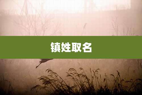 镇姓取名