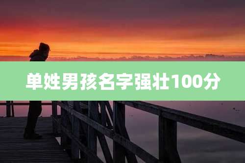 单姓男孩名字强壮100分