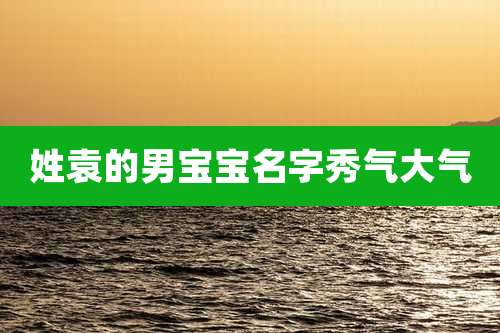 姓袁的男宝宝名字秀气大气