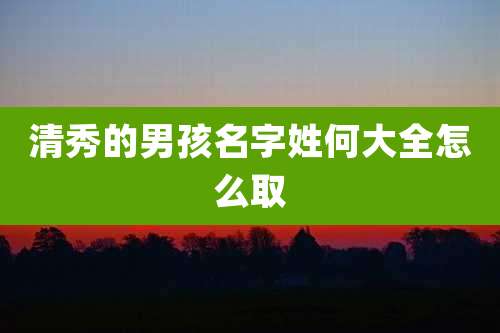清秀的男孩名字姓何大全怎么取