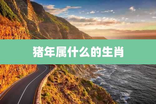 猪年属什么的生肖