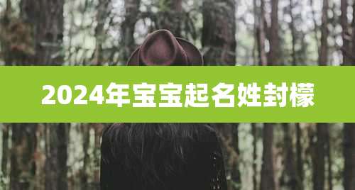 2024年宝宝起名姓封檬