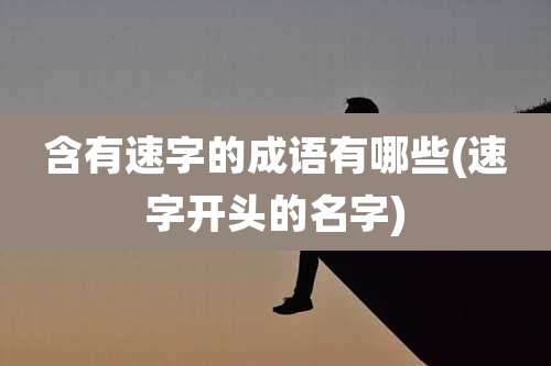 含有速字的成语有哪些(速字开头的名字)