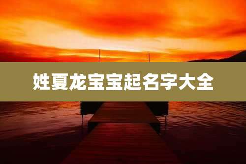 姓夏龙宝宝起名字大全