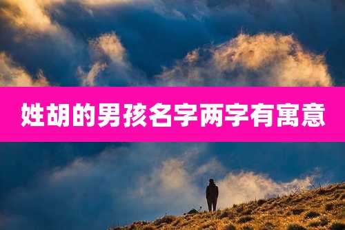 姓胡的男孩名字两字有寓意