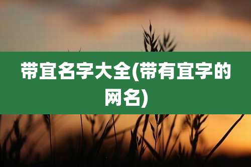 带宜名字大全(带有宜字的网名)