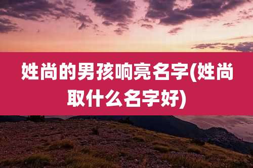 姓尚的男孩响亮名字(姓尚取什么名字好)