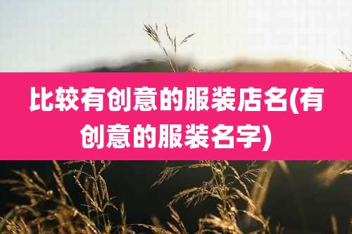 比较有创意的服装店名(有创意的服装名字)