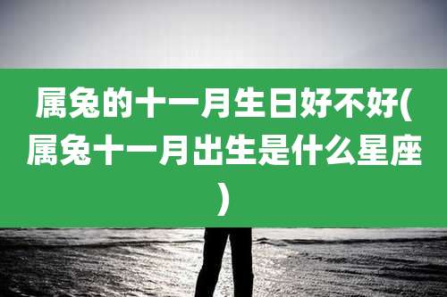 属兔的十一月生日好不好(属兔十一月出生是什么星座)