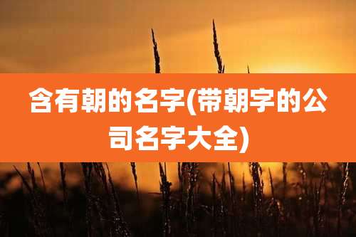含有朝的名字(带朝字的公司名字大全)