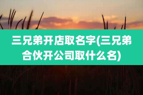 三兄弟开店取名字(三兄弟合伙开公司取什么名)