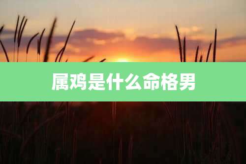 属鸡是什么命格男