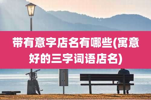 带有意字店名有哪些(寓意好的三字词语店名)