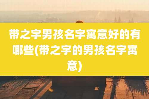 带之字男孩名字寓意好的有哪些(带之字的男孩名字寓意)