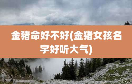 金猪命好不好(金猪女孩名字好听大气)